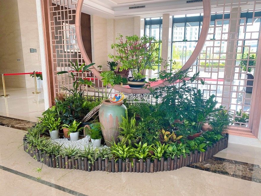 宁波镇海企业大厅组合花卉绿植摆放